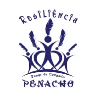 Terno do Penacho