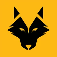 WeAreWolves - Live Scores